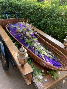 schaal van wilgentenen